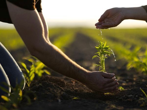 Turning Generosity into Impact: Reflections from Our Philanthropy Symposium